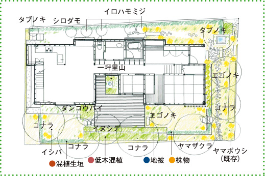 博多町家樹の図鑑